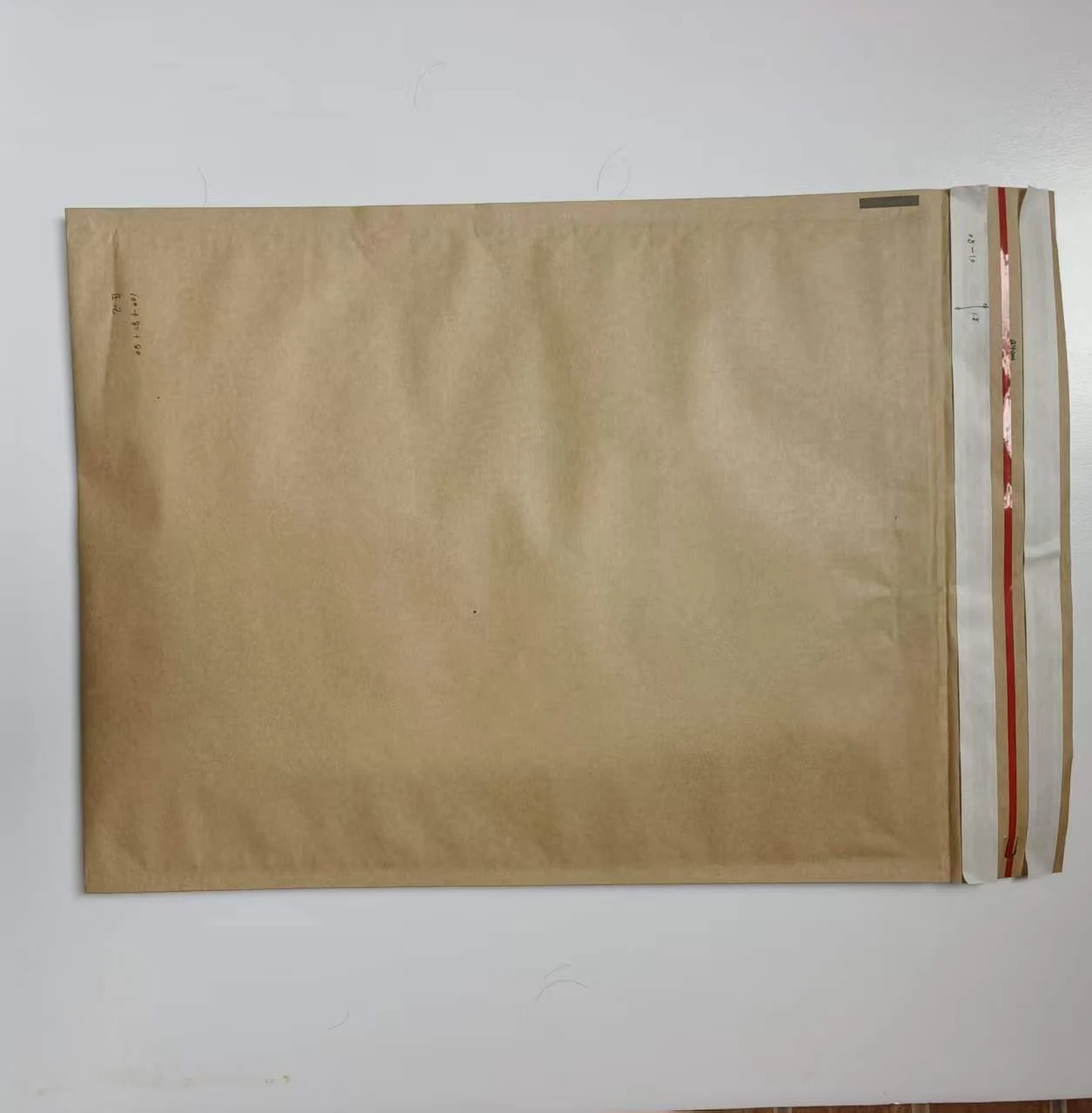 Kraft paper mailer shown from the reverse