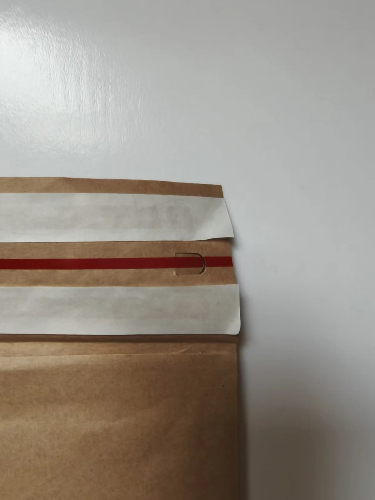 Second adhesive strip and tear line on a kraft paper mailer